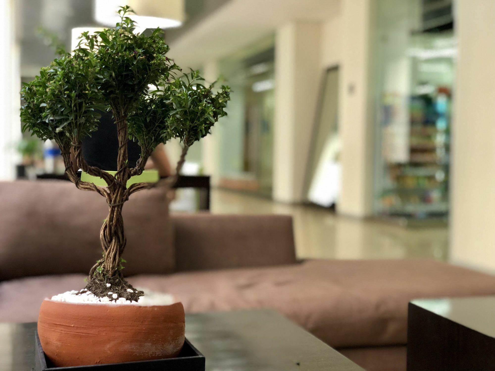 Boutique Apartment Puerta Alameda-801 Kota Meksiko Bagian luar foto